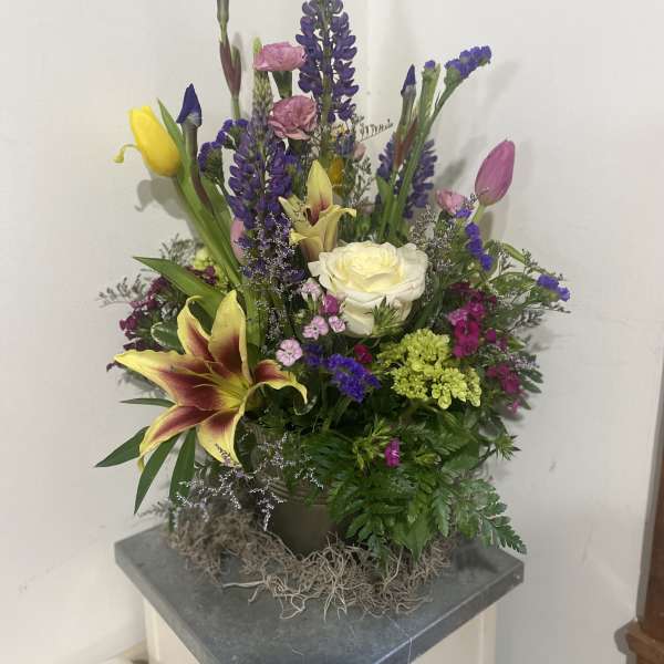 Designer's Choice - Bold Spring