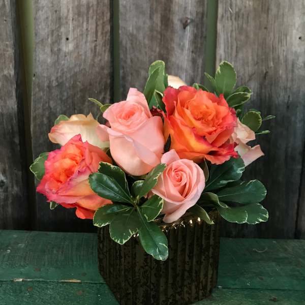 Ramble On Rose