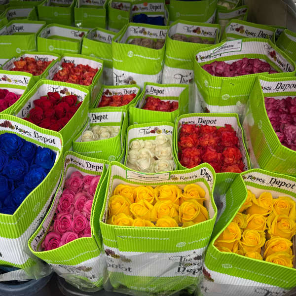 25 Unprocessed roses