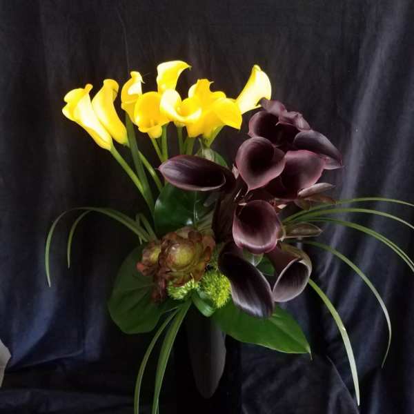 Bouquet of yellow and dark purple calla lilies in a black vase