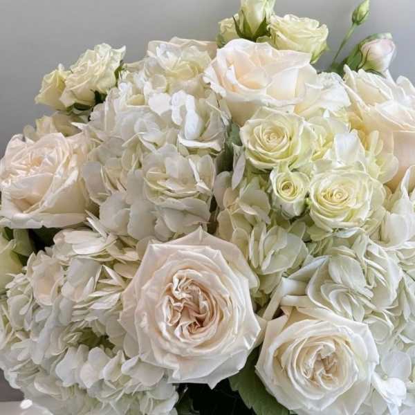 Bouquet of white roses and white hydrangeas