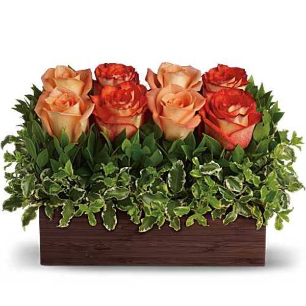 Six peach and red roses arranged in a rectangular wooden box