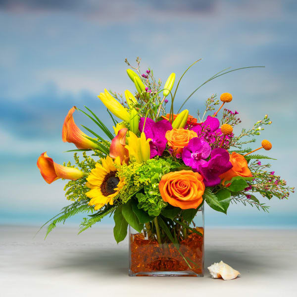 Dallas Sunrise