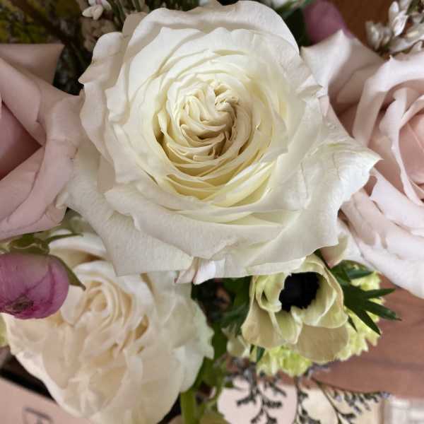 Bouquet of white and blush roses with small white filler flowers