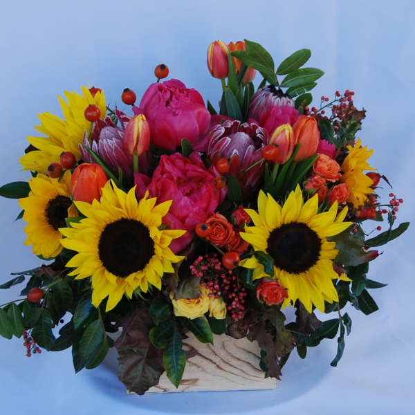Burst of Color