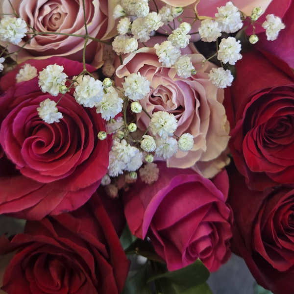 Close-up bouquet of pink and red roses with white baby's breath