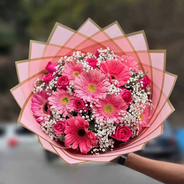 pink kitty