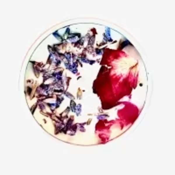 Round dish with butterfly and floral pattern in red, blue, and purple