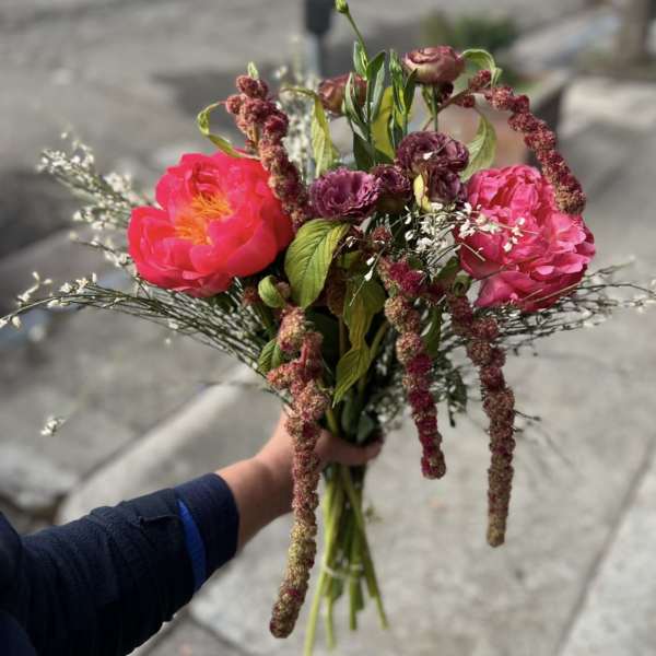 Petal at Dusk
