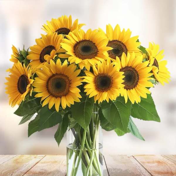 Bouquet of yellow sunflowers in a clear glass vase
