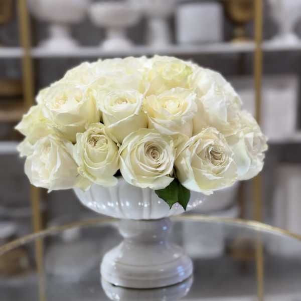 Sacred Bloom (any color rose available)