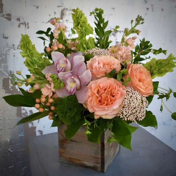 Blush Riviera