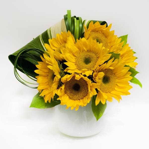 Sunny Sunflower