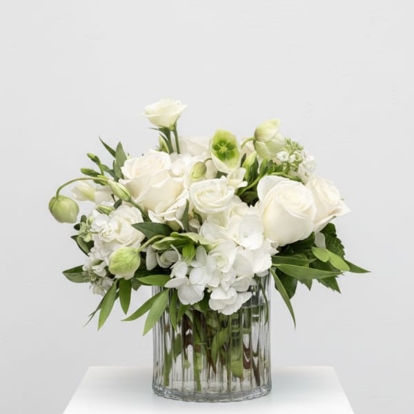 White roses and hydrangeas arranged in a clear glass vase