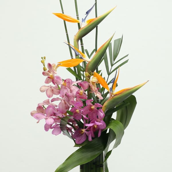 Tall tropical arrangement with pink orchids and orange bird-of-paradise in a clear vase.