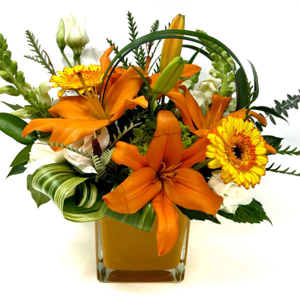 Orange Crush