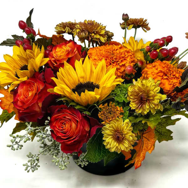 Bright Abundance