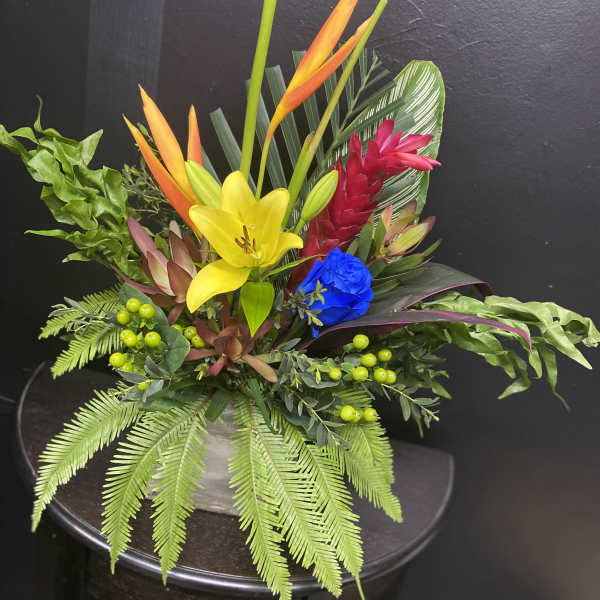 Tropical Oasis