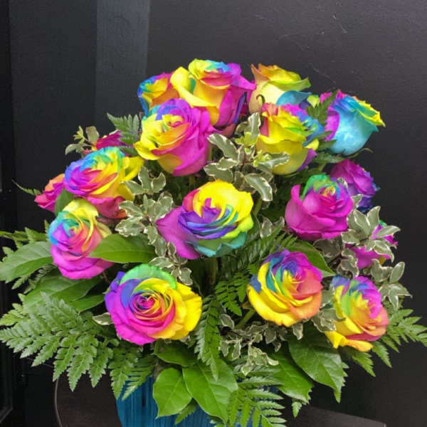 Rainbow Reverie