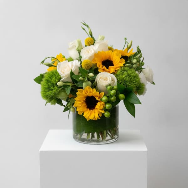 Sunflower Splendor
