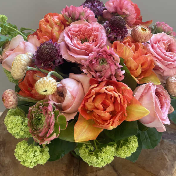 Shades of Coral