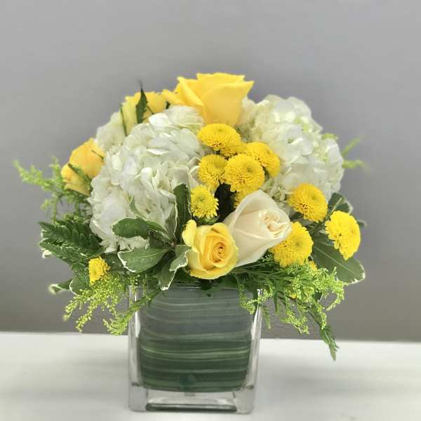 Ray of Light