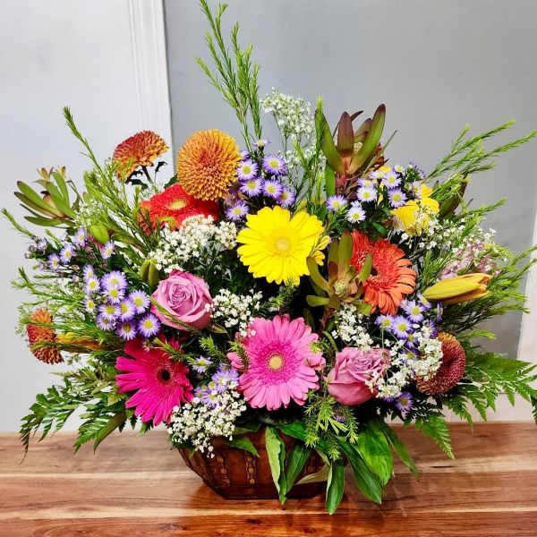Gerbera Garden