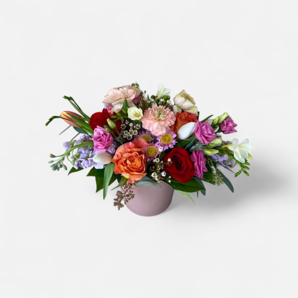 Lovely Garden
