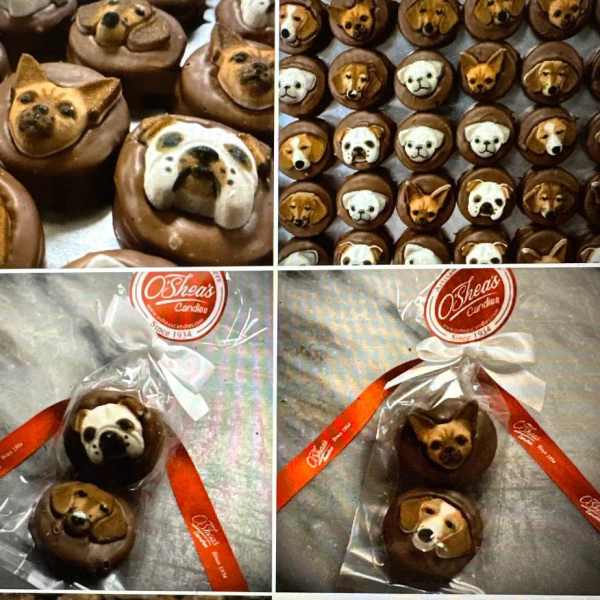 Chocolate dog-face candies arranged in gift packaging