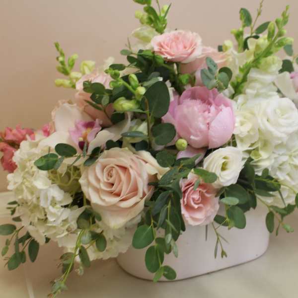 Lush Romance