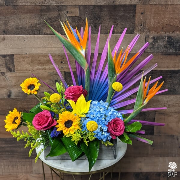 Mardi Gras