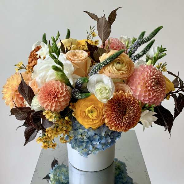 Soft Autumn