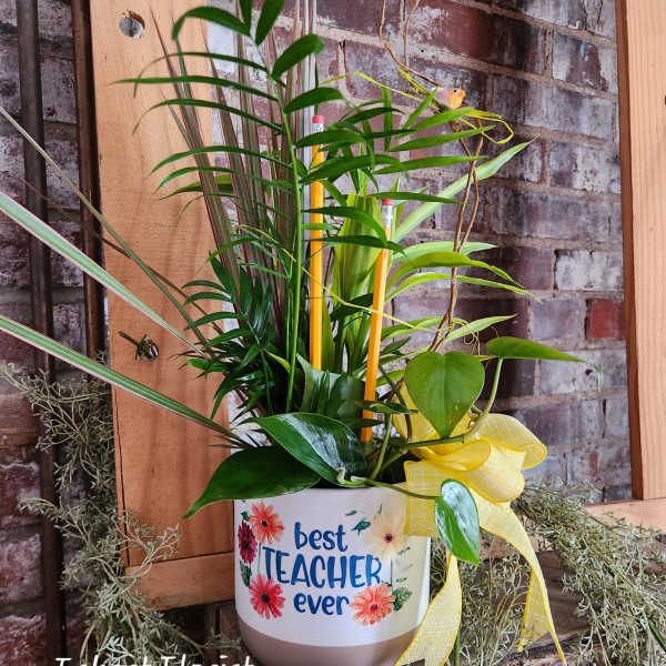 Eckert Florist's Best Teacher Cache Planter