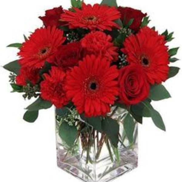 Red gerbera daisies and roses in a clear square vase