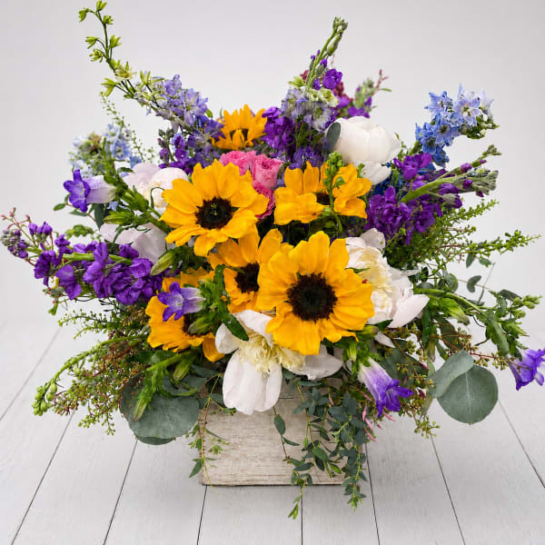 Bright mixed bouquet with yellow sunflowers, purple blooms, and white flowers in a square container