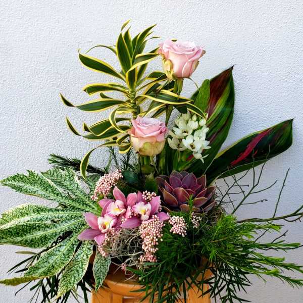 Mixed floral arrangement with pink roses, orchids, and succulents in a container