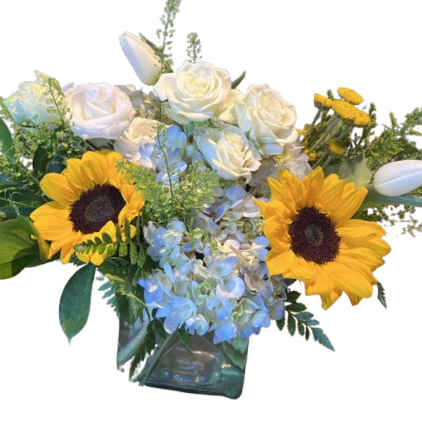 Sunshine by the Sea