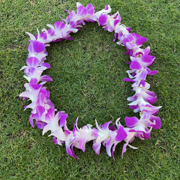 Purple and white orchid lei on grass