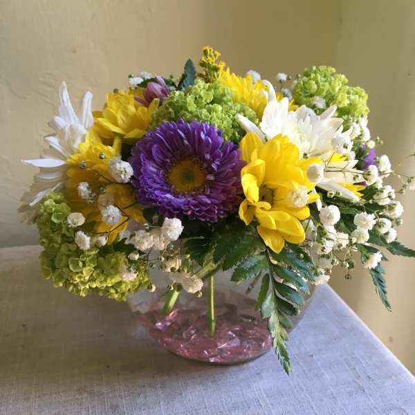 Springtime Surprise