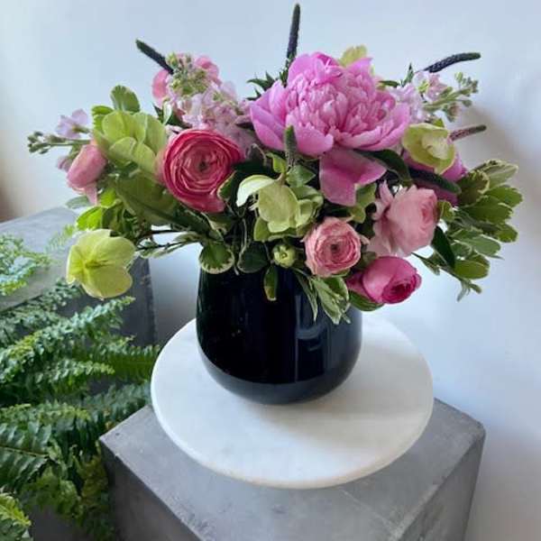 Pink Lady