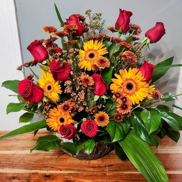 Handsome