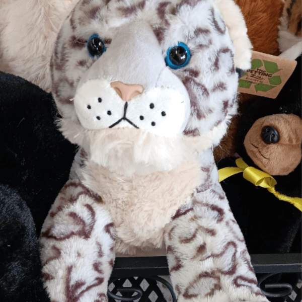 Blue Eyed Leopard