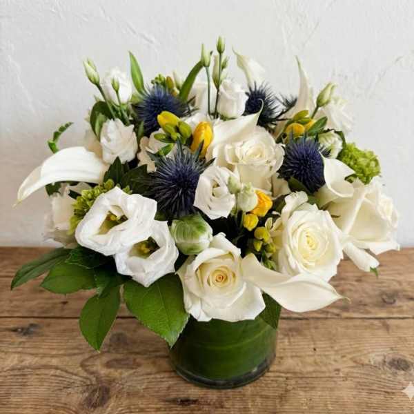 Whimsy