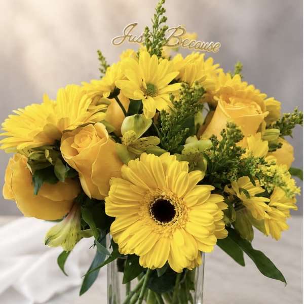 Hello sunshine