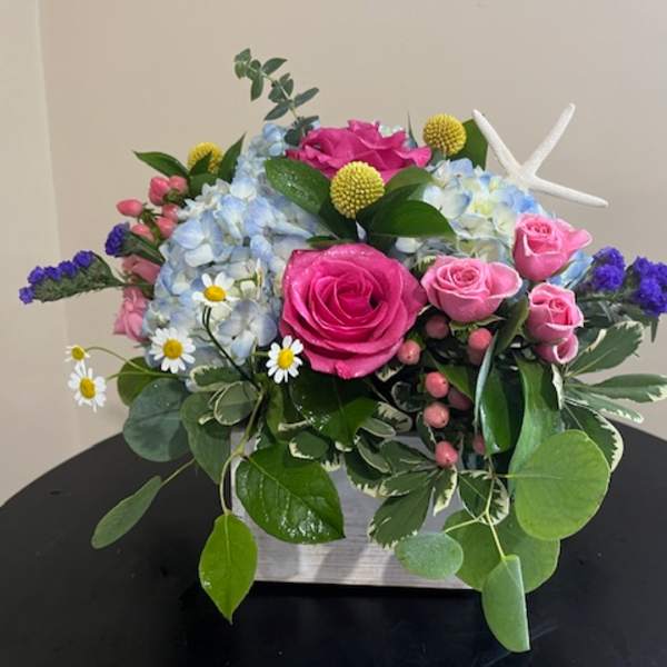 Summer Fun