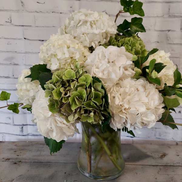 White and green hydrangeas arranged in a clear glass vase