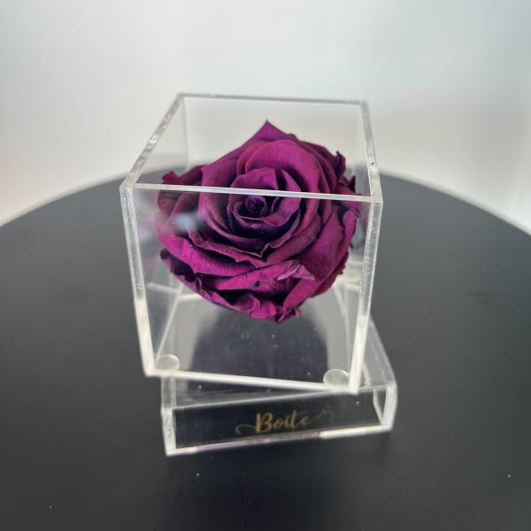 Petit Forever Boîte (Dark Magenta)