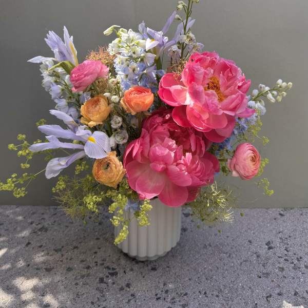 Cove