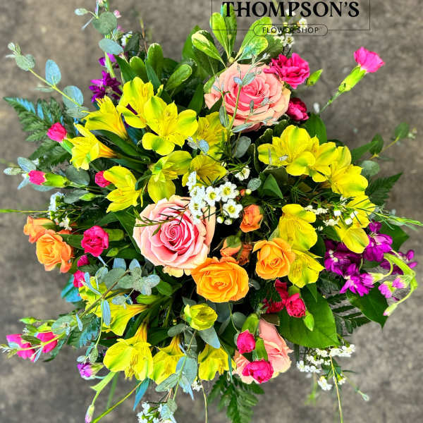 Sundance
