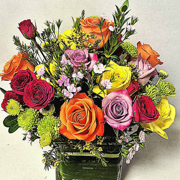 Rainbows and Roses